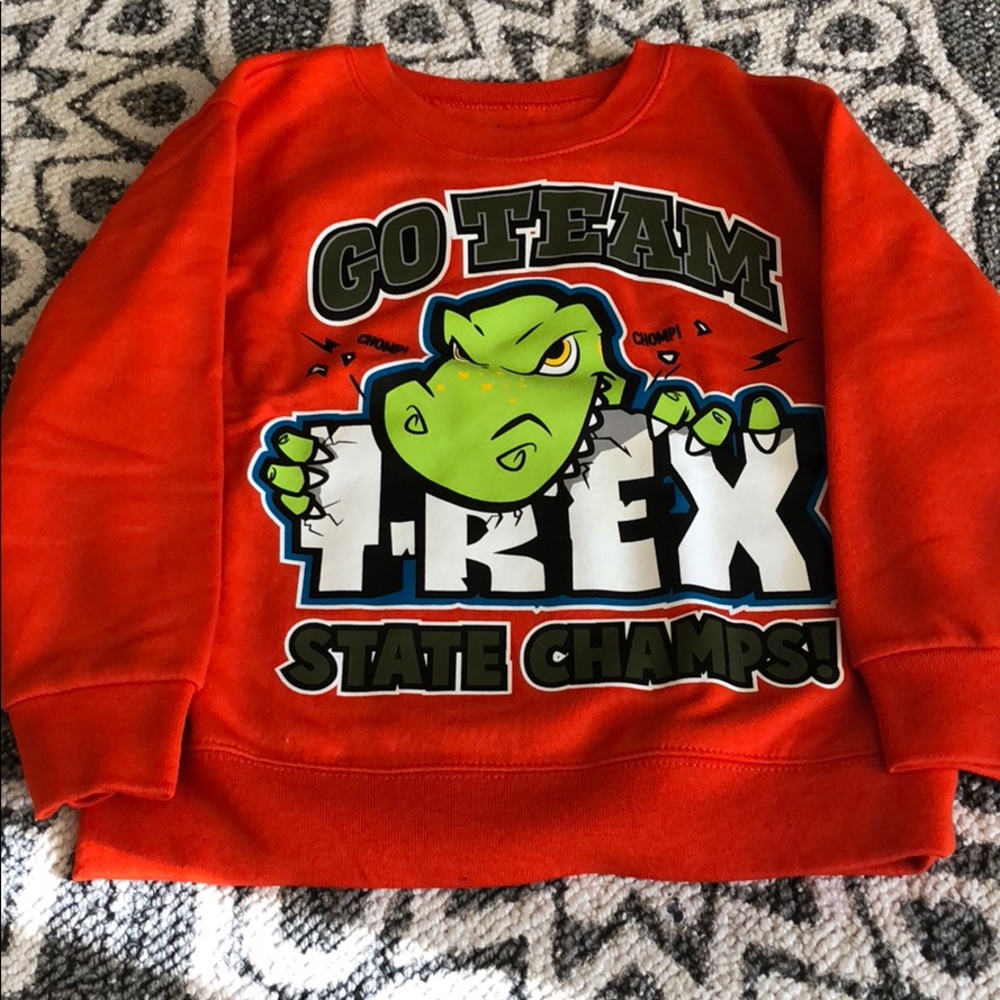 Dinosaur 🦖Crew Neck Sweater